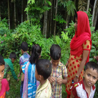 CDIP SHISOK PROGRAM